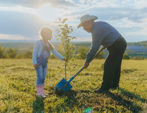 Plant Strong, Stay Strong: A Physical Therapist’s Guide to a Pain-Free Gardening Season